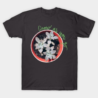 Succulent Grow as you go Green T-Shirt